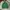 Polo Ralph Lauren Casual Sweater Pria green photo 2