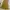 Minimalist Midi Dress Wanita Yellow