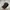 Nike Grunge Goth Hat Pria white black photo 2