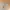 GU Vintage Streetwear Casual pants Pria tan photo 2