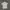 Uniqlo Casual Polo shirt Pria white photo 2