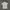 Uniqlo Casual Polo Shirt Pria White