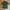 Uniqlo Indie Casual T-shirt Wanita green photo 1