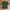 Uniqlo Indie Casual T-shirt Wanita Green