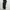 Sportswear Legging Wanita black photo 2