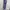 Sportswear Legging Wanita purple photo 2