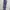 Sportswear Legging Wanita Purple