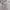 Luxury Casual Crop top Wanita silver white photo 5