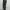 Sportswear Legging Wanita multicolor photo 2