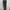 Sportswear Legging Wanita multicolor photo 1