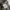 Gramicci Streetwear Y2K Casual pants Pria gray photo 6