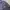 Armani	 Casual Track jacket Pria navy photo 4