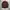 Nicole Club for Men Grunge Casual Leather jacket Pria brown photo 1