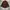 Nicole Club for Men Grunge Casual Leather jacket Pria brown photo 7