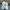 Adidas Vintage Sportswear Casual shoe Pria white photo 5