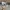 Adidas Vintage Sportswear Casual shoe Pria white photo 2