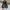 Adidas Vintage Sportswear Sneakers Pria black photo 3