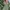 Vintage Parka Pria green photo 5