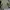 Vintage Parka Pria green photo 2