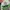 Nike Vintage Sportswear Sneakers Pria green white photo 5