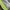 Nike Vintage Sportswear Sneakers Pria green white photo 7