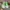 Nike Vintage Sportswear Sneakers Pria green white photo 3