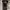 Vintage Y2K Hoody Pria black photo 3