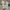Nike Sportswear Sneakers Pria white photo 5