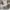 Nike Vintage Sportswear Sneakers Pria white photo 6