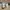 Nike Vintage Sportswear Sneakers Pria white photo 4