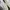 Nike Vintage Sportswear Sneakers Pria white photo 8