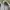 Nike Vintage Sportswear Sneakers Pria white photo 7