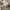 Nike Vintage Sportswear Sneakers Pria white photo 6