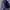 Casual Harrington jacket Pria purple photo 3