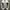 Nike Vintage Sportswear Sneakers Pria white photo 5