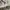 Nike Vintage Sportswear Sneakers Pria white photo 7
