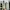 New Balance Streetwear Casual Sneakers Wanita multicolor photo 2