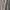 Casual Harrington jacket Pria cream photo 5
