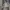 Casual Harrington jacket Pria cream photo 7