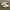 Nike Vintage Sportswear Sneakers Pria white photo 1