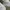 Nike Vintage Sportswear Sneakers Pria white photo 7