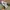 Nike Vintage Sportswear Sneakers Pria white photo 2