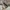 Nike Vintage Sportswear Sneakers Pria silver photo 2