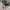 Nike Vintage Sportswear Sneakers Pria black photo 2