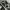 Nike Vintage Sportswear Sneakers Pria black photo 7