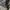 Japanese brand Y2K Goth Puffer jacket Pria green photo 5