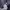 Sportswear Casual Puffer jacket Pria navy photo 3