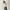 Streetwear Casual Crop top Wanita white photo 4