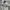 DC Shoes Streetwear Sportswear Sweatpants & Joggers Pria gray photo 8
