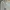 DC Shoes Streetwear Sportswear Sweatpants & Joggers Pria gray photo 3